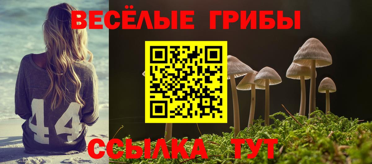 Галлюциногенные грибы Psilocybine cubensis Оренбург